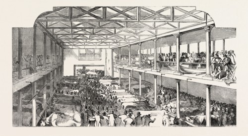 THE SMITHFIELD CLUB CAITLE SHOW, THE NEW DEPARTMENT FOR EXTRA STOCK, ETC., UK