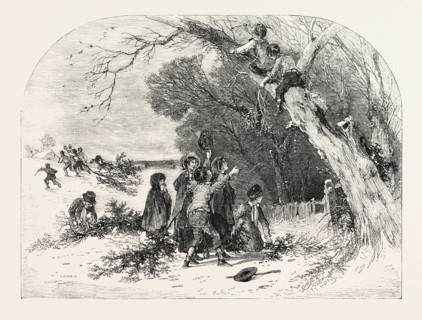 GATHERING MISTLETOE, DRAWN BY FOSTER