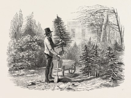 "SO THE LITTLE FIR-TREE WENT OFF IN ITS WHEELBARROW, AND TRIED TO SIT IN IT WITH A JAUNTY AIR, AS