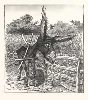 HUNGRY DEMOCRACY THE GREATEST FASTER RECORD. Engraving 1880, US, USA