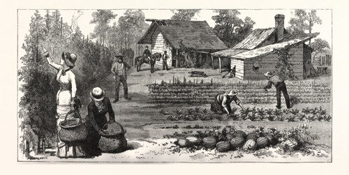 ENGLISH GARDEN. SCENES RUGBY, THE ENGLISH COLONY TENNESSEE, engraving 1880, US, USA, America