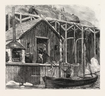 THE NEWFOUNDLAND FISHERIES QUESTION: BRITISH FISHING ROOM ON THE FRENCH SHORE, CANADA, 1890