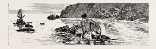 A TALE OF THE SEA: DISCRETION IS THE BETTER PART OF VALOUR, WHICH THE TWINS, UNABLE TO SWIM, SHOULD