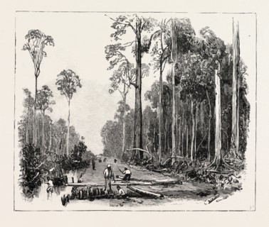 ROAD MAKING, AND DRAINING THE LAND, SUMATRA, INDONESIA, 1890 engraving