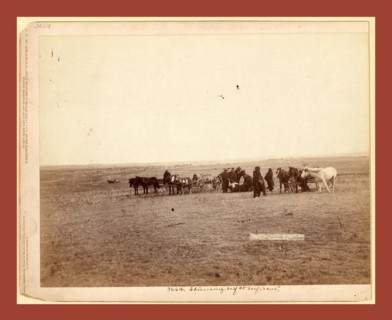 The shepherd and flock. On F.E. & M.V. R'y. in Dakota, John C. H. Grabill was an american