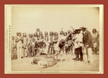 Skinning beef at beef issue, John C. H. Grabill was an american photographer. In 1886 he opened his