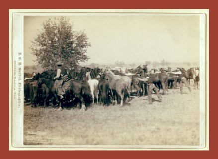 Roping and changing scene at --T Camp on round up of --T. 999 --S. & G., A.U.T. and others on