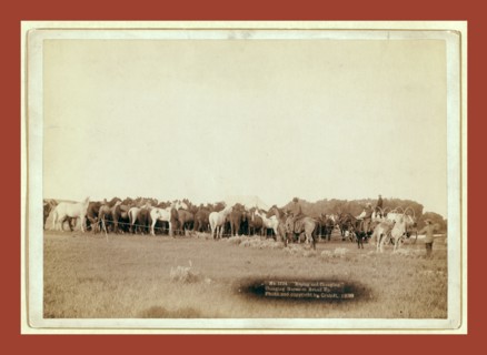 Roping and changing. Changing horses on round up, John C. H. Grabill was an american photographer.