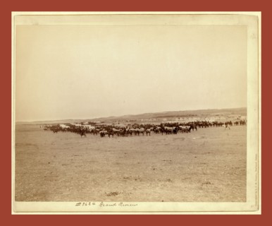 Grand review, John C. H. Grabill was an american photographer. In 1886 he opened his first