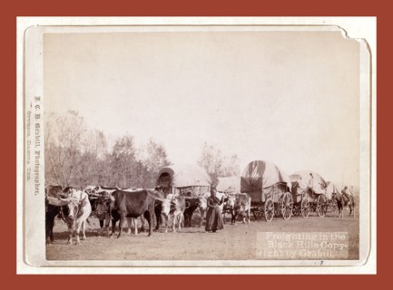 Freighting in the Black Hills, John C. H. Grabill was an american photographer. In 1886 he opened