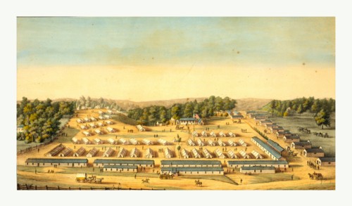 bird's-eye view of Cliffburne Hospital, Washington, D.C. by Charles Magnus, circa 1862
