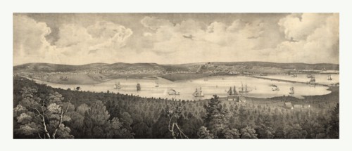 View of the city of Washington, the metropolis of the United States of America, taken from
