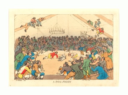 Thomas Rowlandson (British, 1756 - 1827 ), A Dog Fight, 1811, hand-colored etching, Rosenwald
