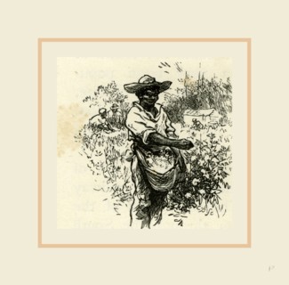 The South, 19th Century, USA