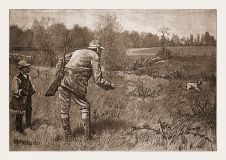 GUN-SHY, DRAWN BY A. B. FROST., 1880, 19th century engraving, USA, America
