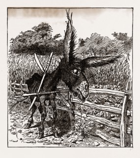 THE HUNGRY DEMOCRACYâ€îTHE GREATEST FASTER ON RECORD, USA, America, 19th century engraving