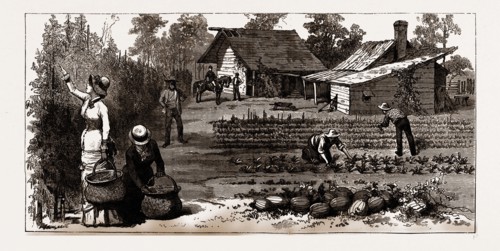 THE ENGLISH GARDEN, Scenes in Rugby, the English Colony in Tennesse, 1880, USA, America, 19th