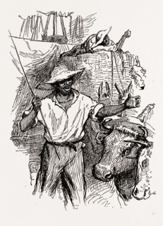 Georgia, African-American drivers, 1880, 19th century engraving, USA, America
