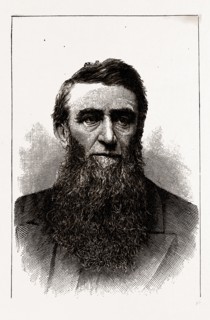 THE HON. D. H. JEROME, GOVERNOR-ELECT OF MICHIGAN, 19th century engraving, USA, America