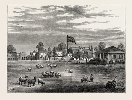 LORD'S GROUND IN 1837. London, UK, 19th century engraving