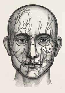 the nerves of the face, medical equipment, surgical instrument, history of medicine