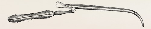 blandin's director for resections, medical equipment, surgical instrument, history of medicine