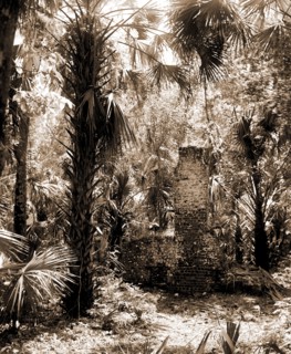 Chimneys, Ormond hammock, The, Jackson, William Henry, 1843-1942, Chimneys, Palms, Ruins, United