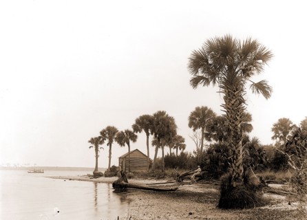 Ross Point on the Halifax, Fla, Jackson, William Henry, 1843-1942, Capes (Coasts), Rivers, United