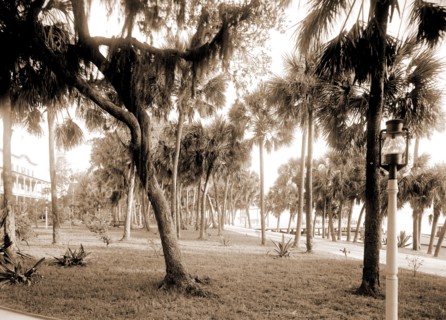 Hotel Rockledge, Jackson, William Henry, 1843-1942, Hotel Rockledge (Fla.), Hotels, Palms, Bays,