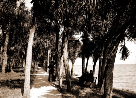 The walk at Rockledge, Indian River, Jackson, William Henry, 1843-1942, Hotels, Trails & paths,