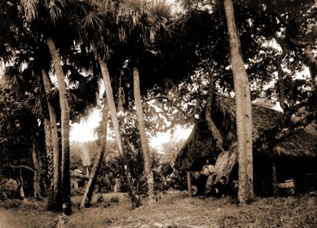 Dawson's, Gem Island, Indian River, Jackson, William Henry, 1843-1942, Trees, Dwellings, Bays,
