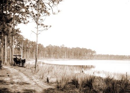 Lake Louise near Seville, Fla, Jackson, William Henry, 1843-1942, Lakes & ponds, Waterfronts,