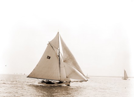Polly, Polly (Yacht), Yachts, 1891