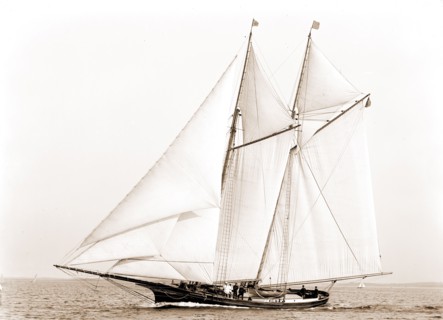 Adrienne, Adrienne (Schooner), Yachts, 1883
