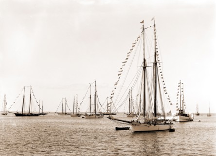 N.Y.Y.C. fleet, Vineyard Haven, New York Yacht Club, Yachts, Yacht clubs, United States,