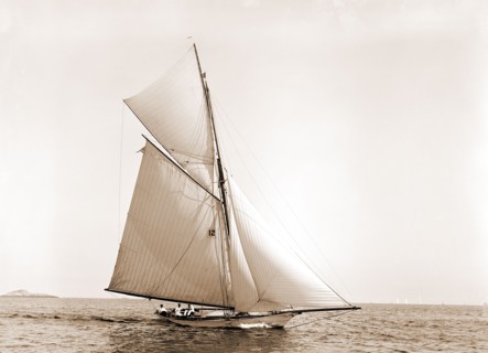 Fancy, Fancy (Yacht), Corinthian Yacht Club, Yachts, Regattas, Yacht clubs, 1892
