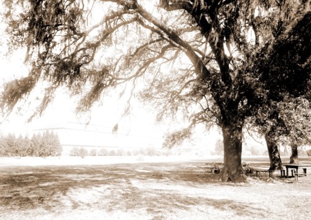Horticultural hall, Audubon Park, New Orleans, Parks, Horticultural buildings, United States,