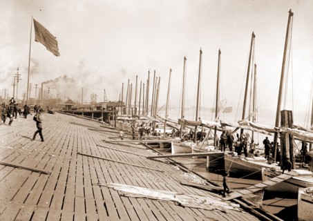 Oyster luggers at the levee, New Orleans, Boats, Levees, Shellfish industry, Oysters, United