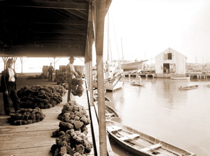 Sponge exchange on wharf, Key West, Fla, Piers & wharves, Sponges, Commodity exchanges, United