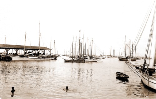 Sponge fleet in harbor, Key West, Fla, Boats, Harbors, Sponges, United States, Florida, Key West,