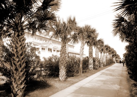 The Breakers, Palm Beach, Fla, Hotels, Resorts, Trails & paths, Palms, United States, Florida, Palm