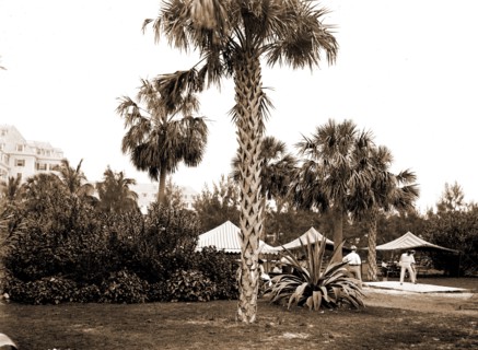 Golf links, Hotel Royal Poinciana, Palm Beach, Fla, Hotels, Golf, Resorts, United States, Florida,