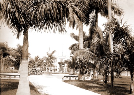 Colon Park, Havana, Parks, Cuba, Havana, 1900