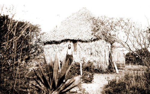 Thatched cottage at Barker's, Jackson, William Henry, 1843-1942, Cactus, Thatched roofs, Dwellings,