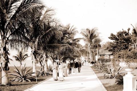 In the grounds of the Royal Poinciana, Palm Beach, Fla, Resorts, Hotels, Palms, Trails & paths,