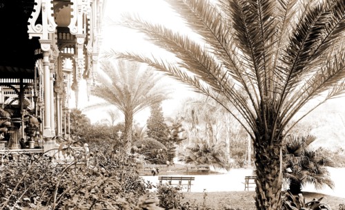 The Grounds of Tampa Bay Hotel, Tampa, Fla, Hotels, Palms, Resorts, United States, Florida, Tampa,