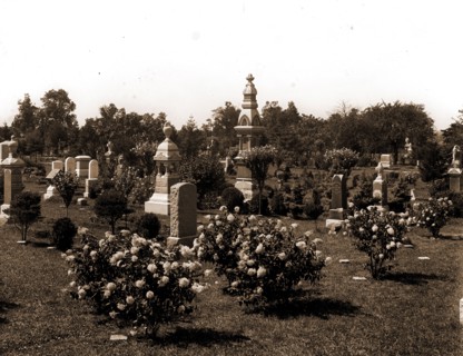 Cemetery, Cemeteries, Tombs & sepulchral monuments, 1904
