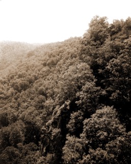 Mountainside with trees, Mountains, 1900