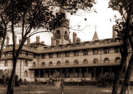 The Ponce De Leon from the orange grove, Jackson, William Henry, 1843-1942, Hotels, Resorts, United