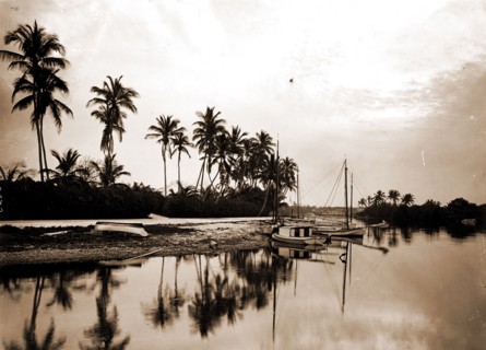 Miami River evening, Waterfronts, Palms, Sunrises & sunsets, United States, Florida, Miami River,